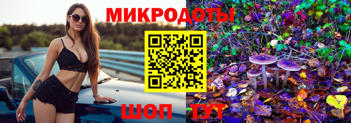 Псилоцибиновые грибы ЛСД Заволжье