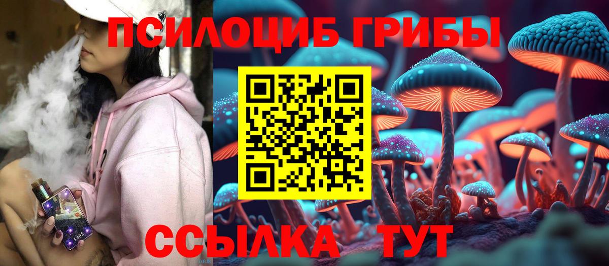 Заволжье  Псилоцибиновые грибы ЛСД  Вход с VPN  Галлюциногенные грибы Psilocybe 